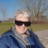 K J van Dijk