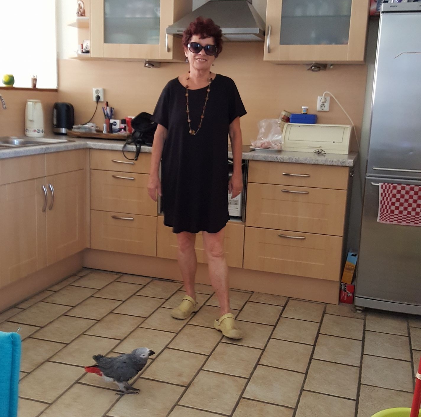 Josette Brinks