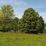 Noortje 2014