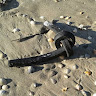 hans van meer