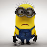 Rolf van Schaik