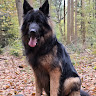 Klaas Ten Lande