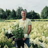 Ton Koetsier
