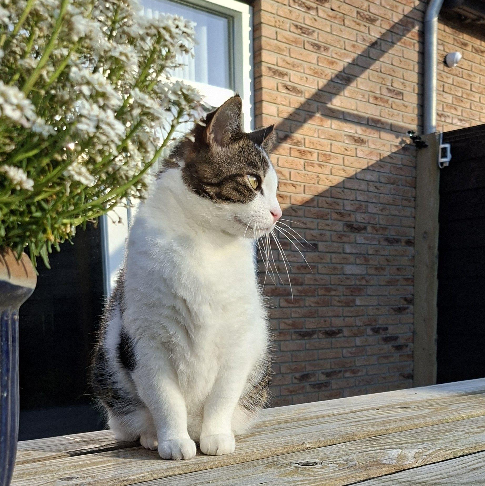 Wilma De Bruin