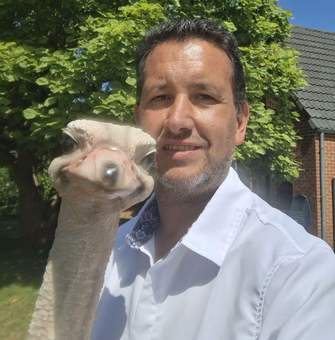 Dirk Sterck