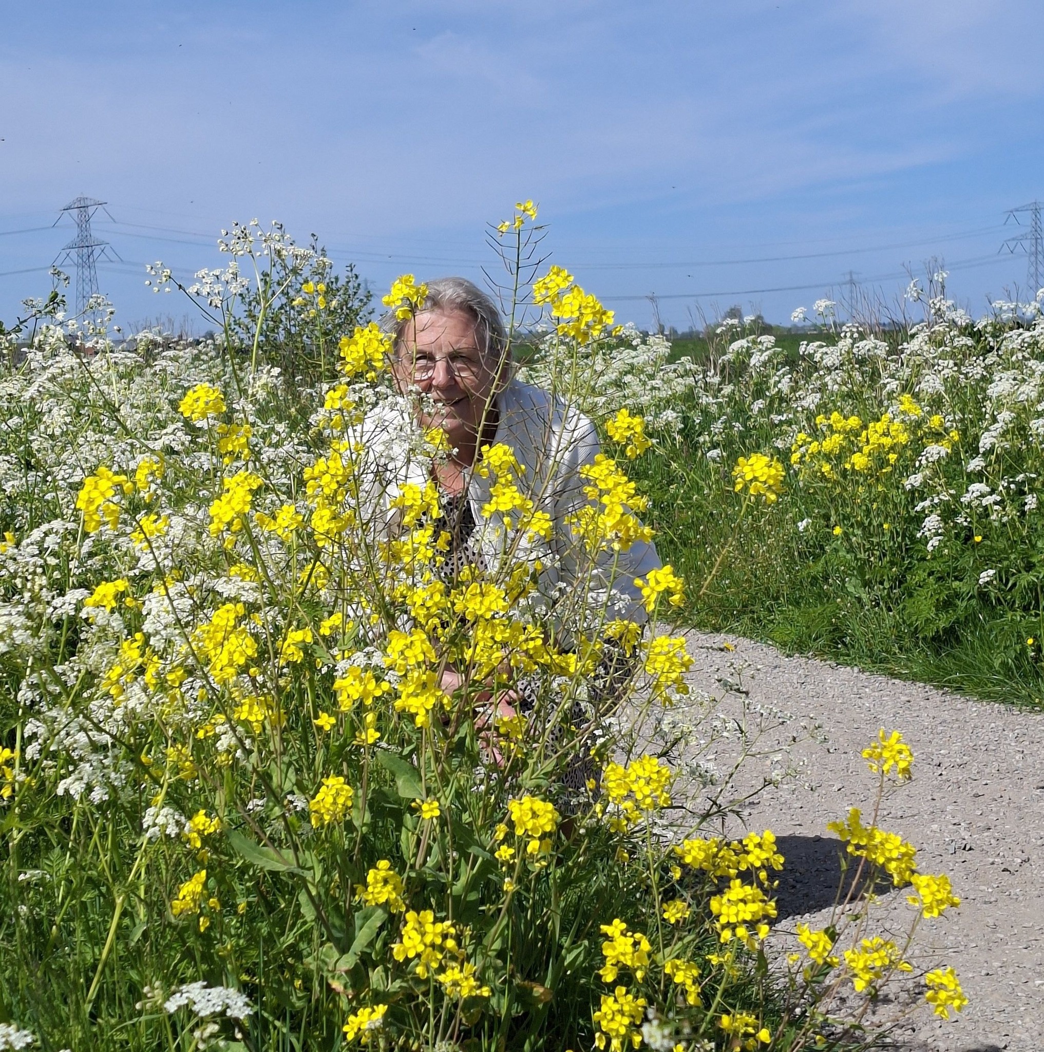 Lijnie Heuvelman-Burggraaf