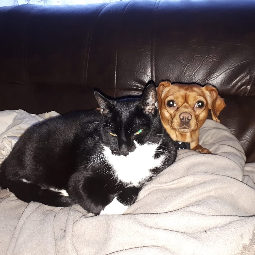 Bert V Zoeren