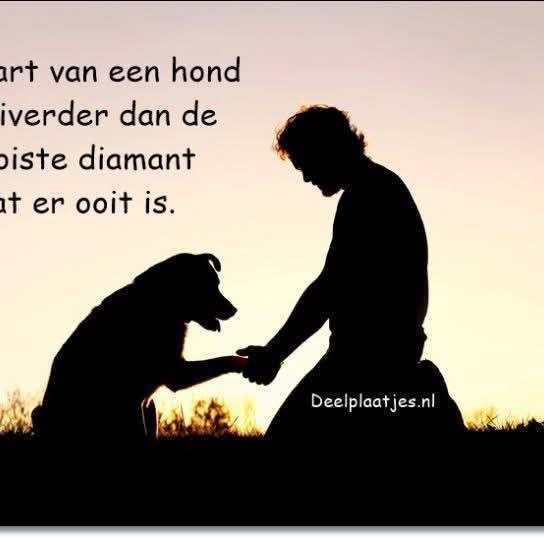 Peter Henderick