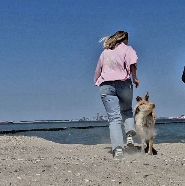 Ch Schmp