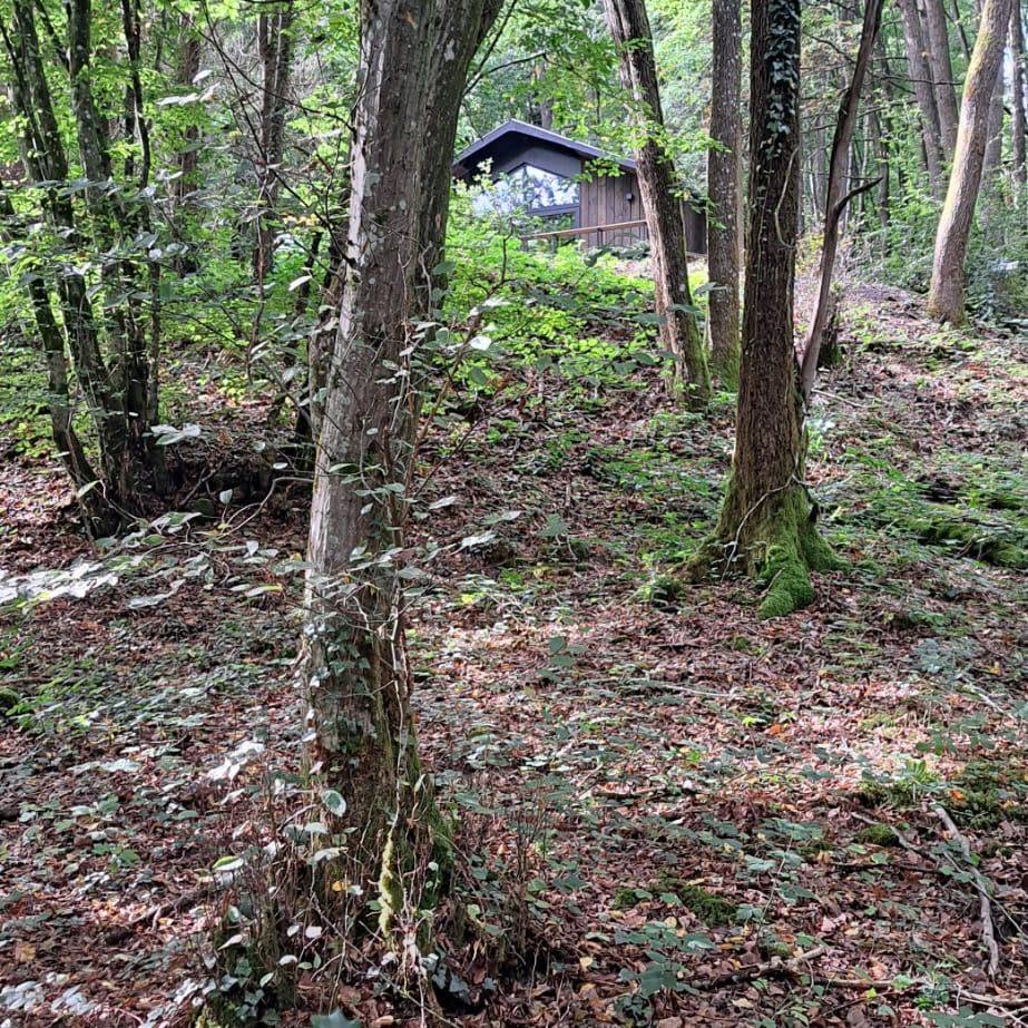 Machteld Vandenbroecke