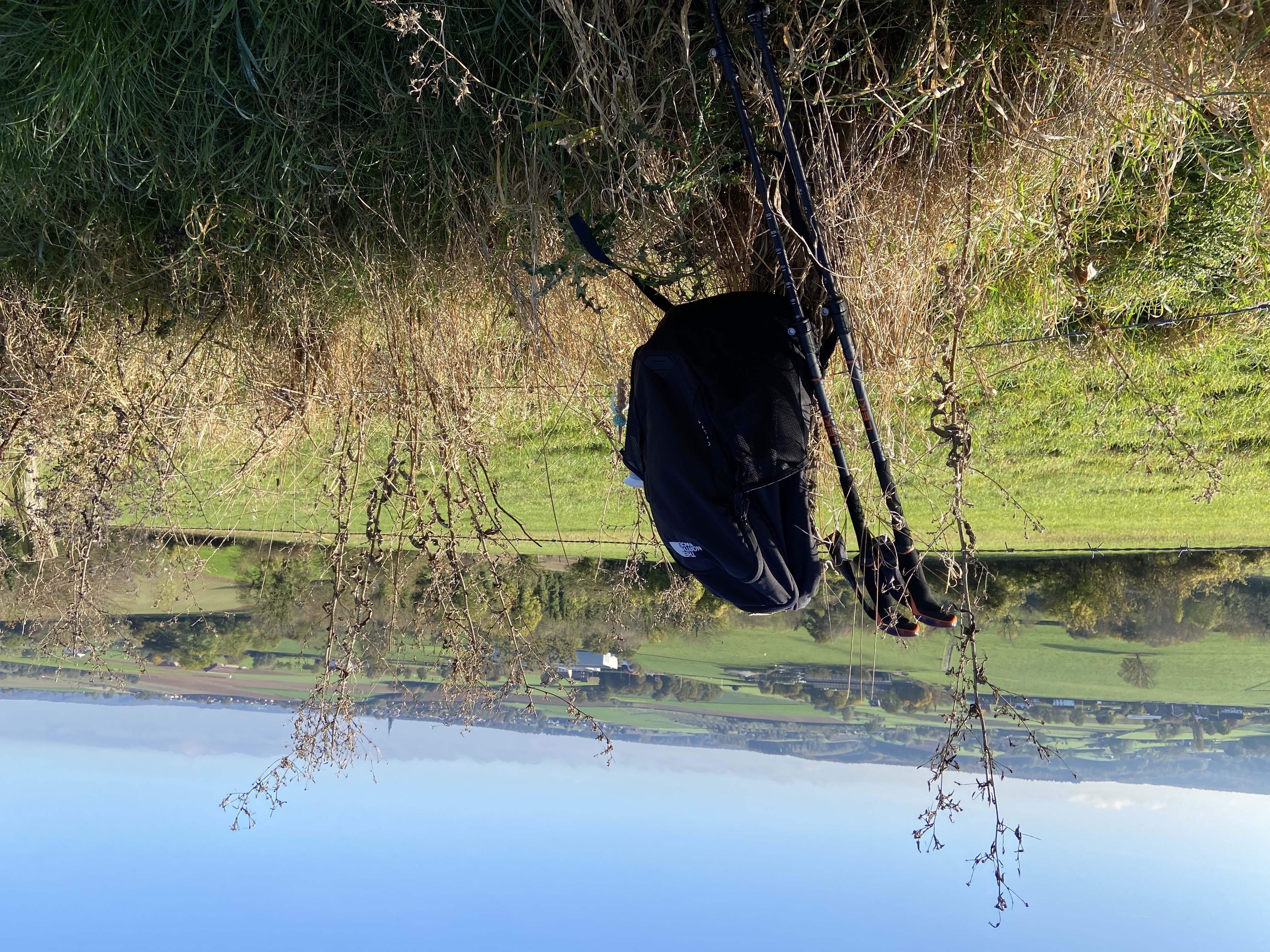 Header image of Niek NL