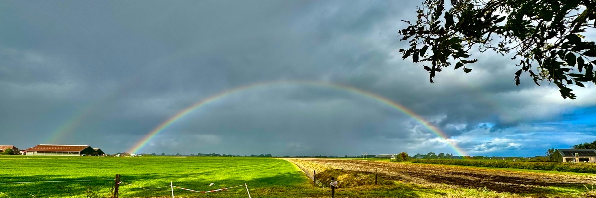 Headerafbeelding van Hake