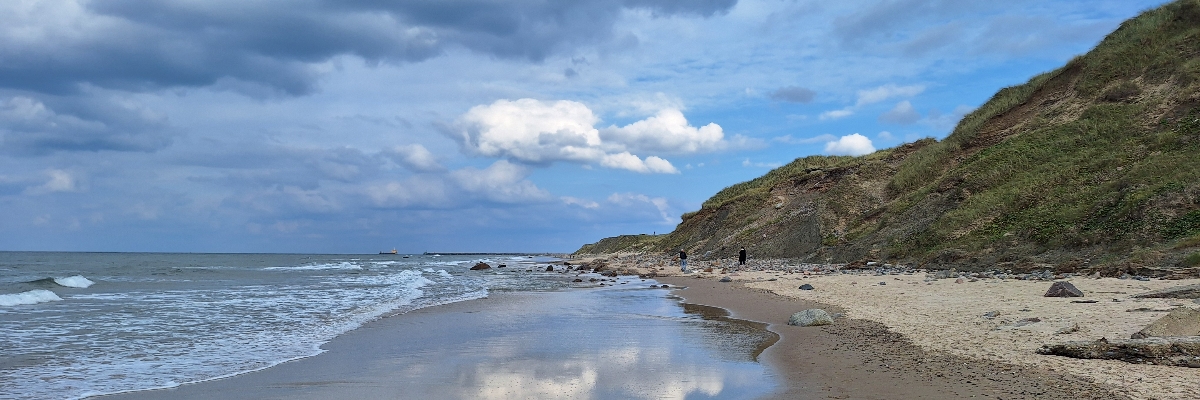 Header image of Guus 51