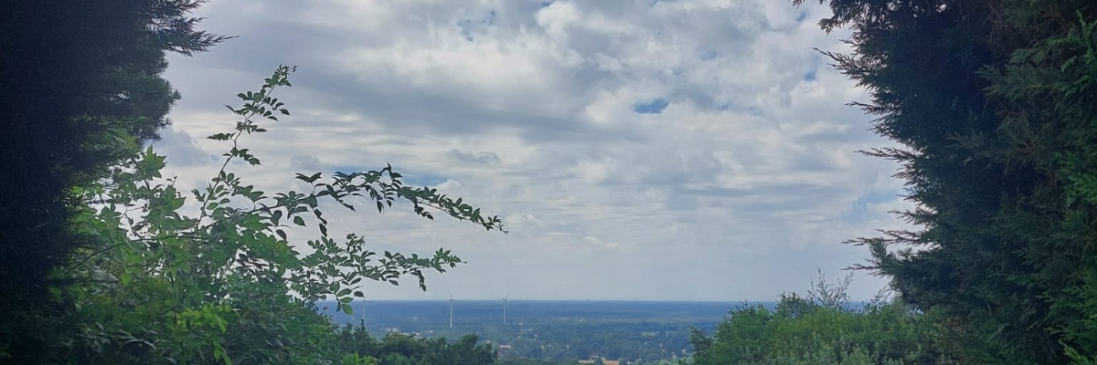 Headerafbeelding van Mirjam Oosterveld