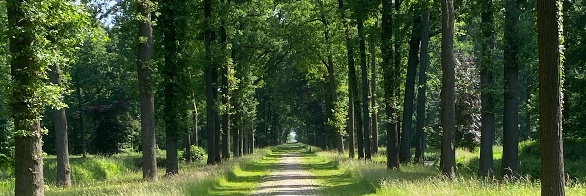 Header image of Piet Schneider