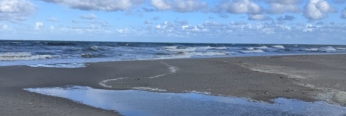 Headerafbeelding van naturistje15