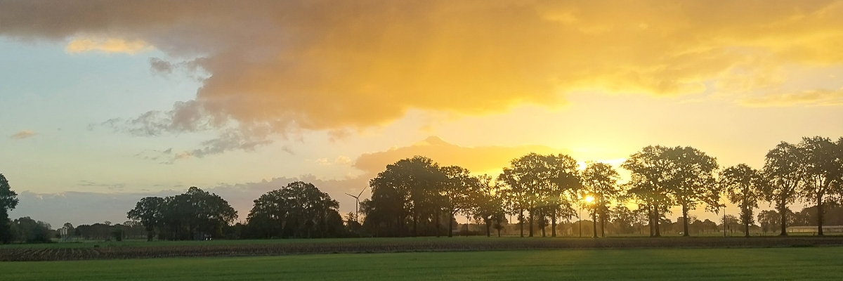 Headerafbeelding van Els Konings
