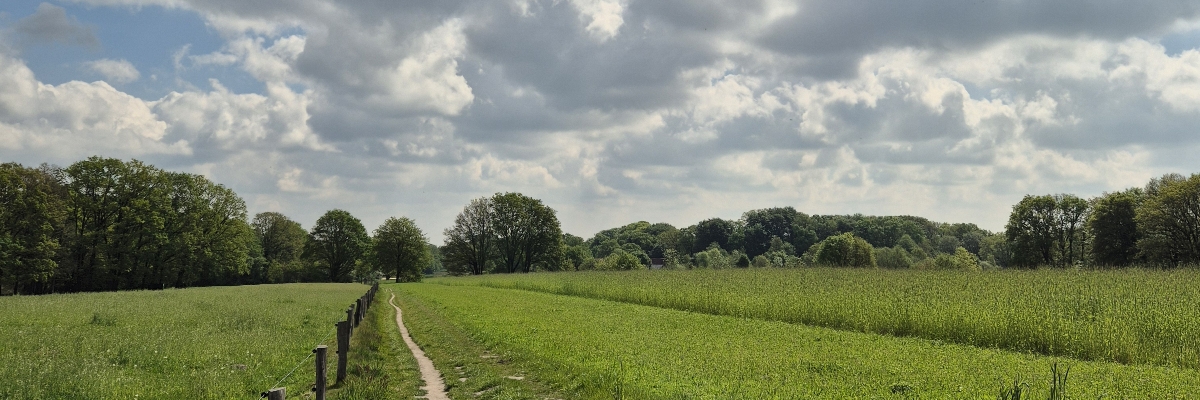 Headerafbeelding van Marcia Jans