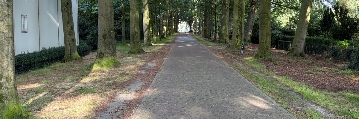 Headerafbeelding van Jack