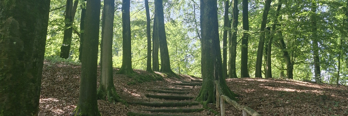 Headerafbeelding van el72