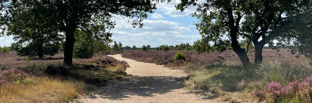 Headerafbeelding van Marianne Mensink