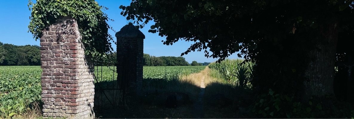 Header image of Fred