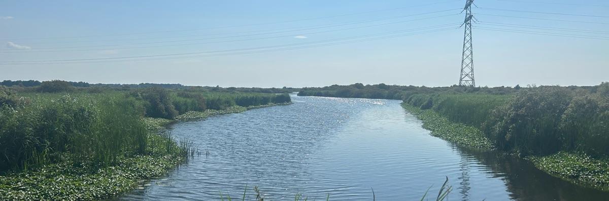 Headerafbeelding van Haye Rondaan