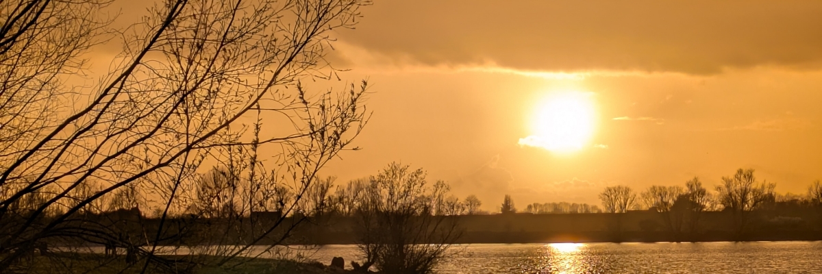 Headerafbeelding van Doreen Buurman
