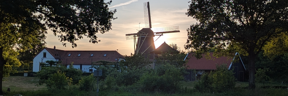 Headerafbeelding van Edwin