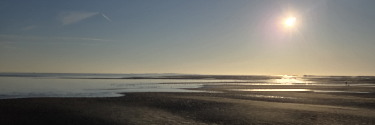 Headerafbeelding van Ilse