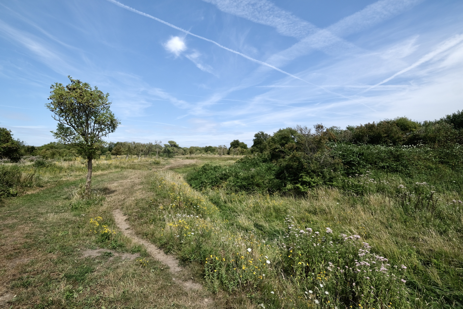 Herkingen - Nieuw Vossemeer · Nederlands Kustpad 1 etappe 14
