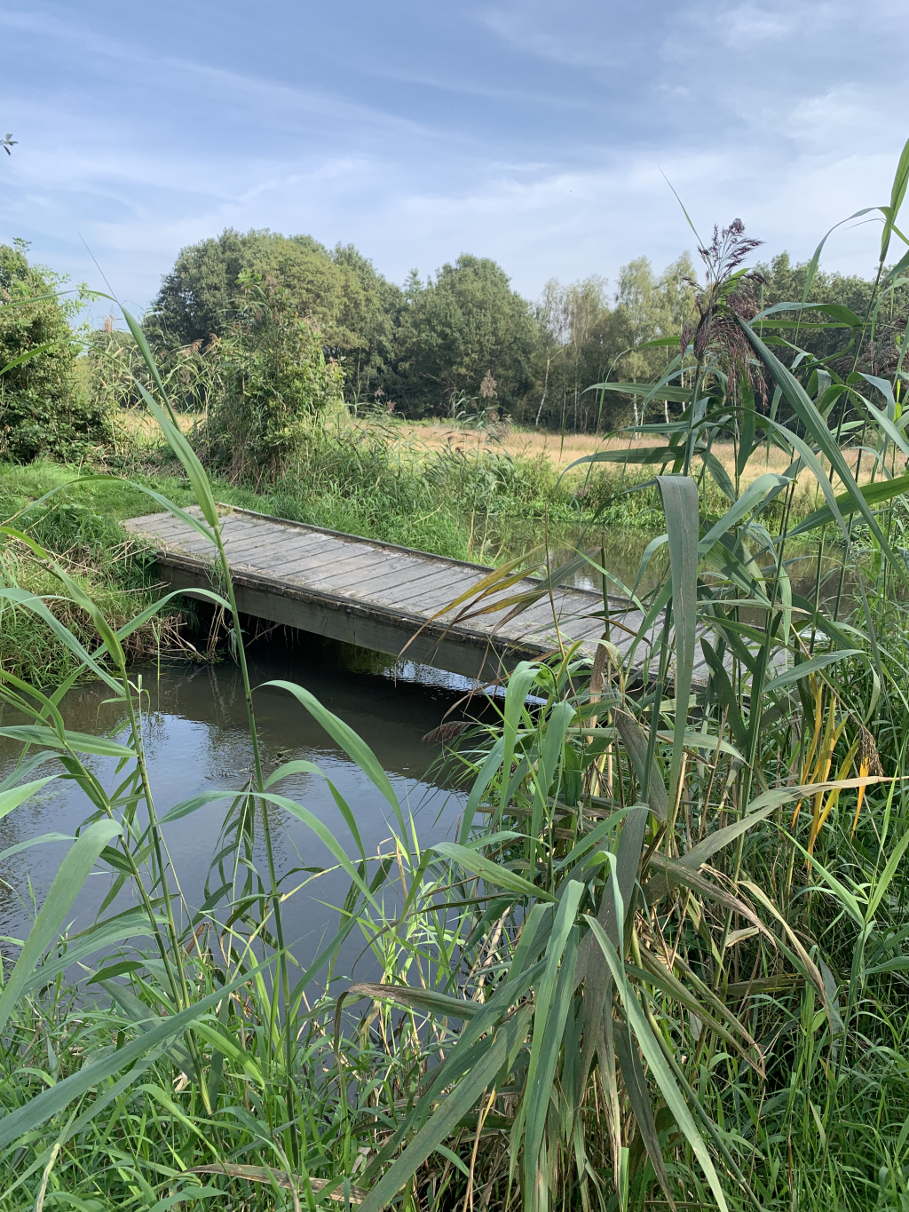 Berkel-Enschot - Biezenmortel · Ons Kloosterpad etappe 13