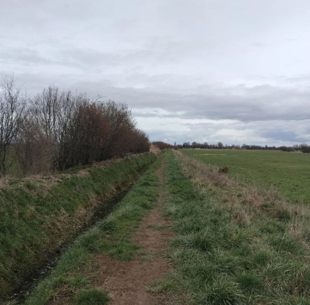 Brummen (station 800m) - Hoven (Zutphen) · Hanzestedenpad etappe 2