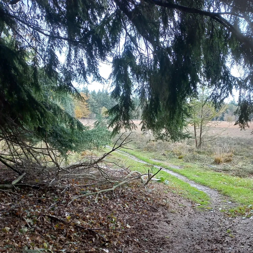 Zuidlaren - Gieten · Drenthepad etappe 11