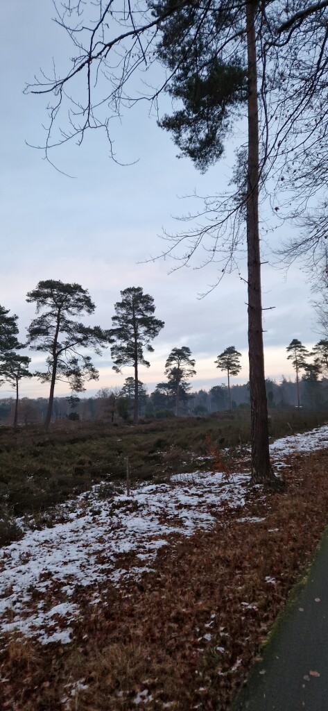 Schoonloo · Klaverblad Borger etappe 1