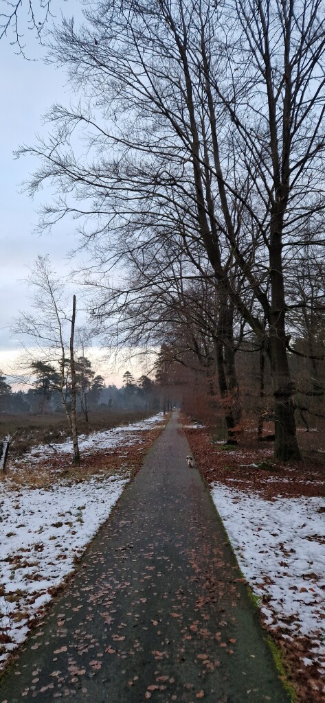 Schoonloo · Klaverblad Borger etappe 1