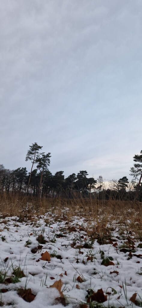 Schoonloo · Klaverblad Borger etappe 1