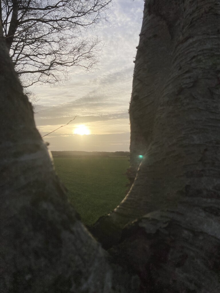 Spier - Dwingelderveld · De Ster van Dwingeloo etappe 4