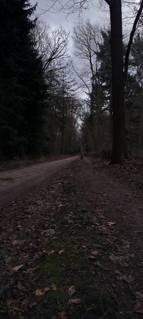 Dagwandeling (Gorssel) · Hanzestedenpad etappe 10