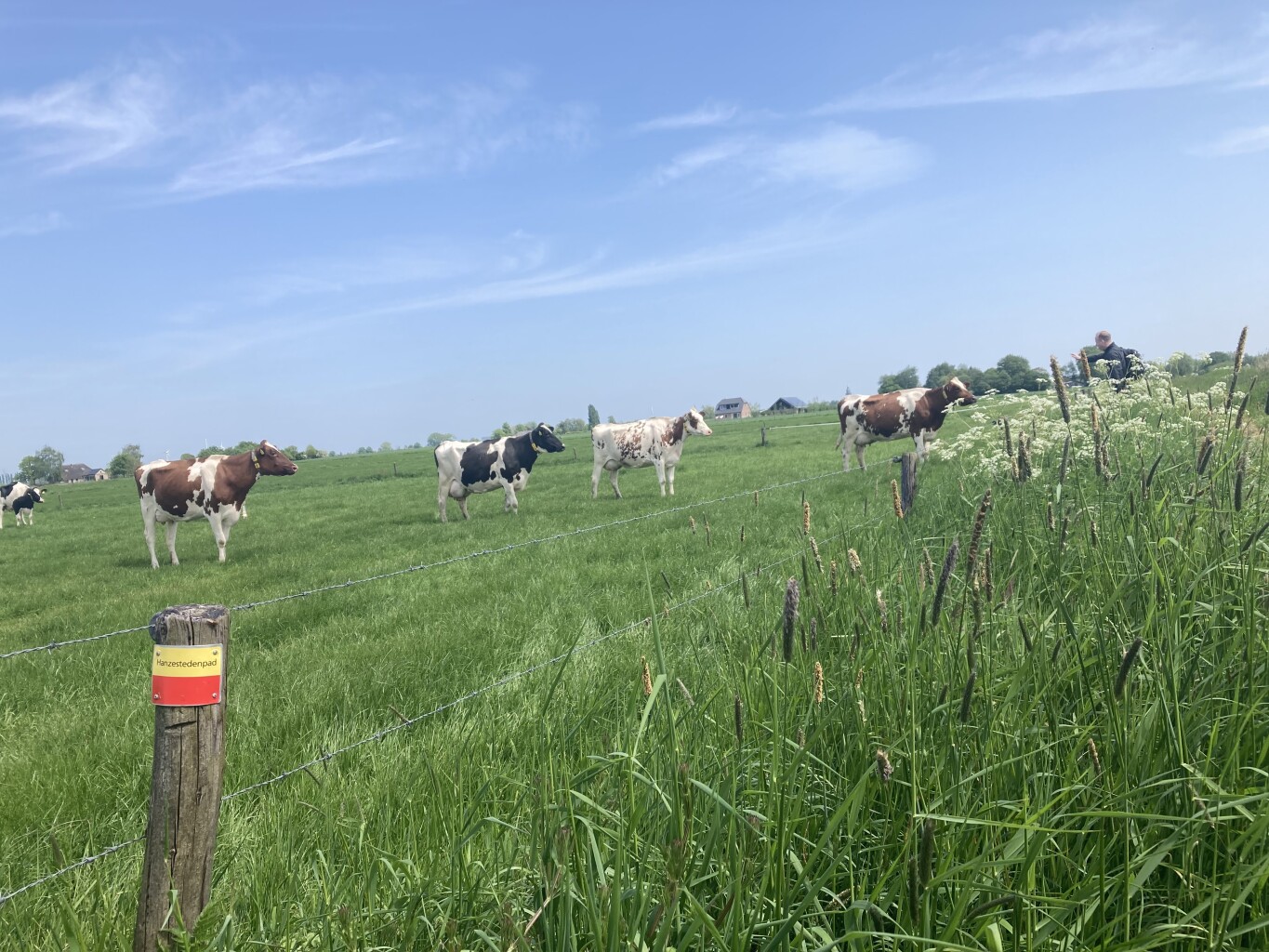 Brummen (station 800m) - Hoven (Zutphen) · Hanzestedenpad etappe 2