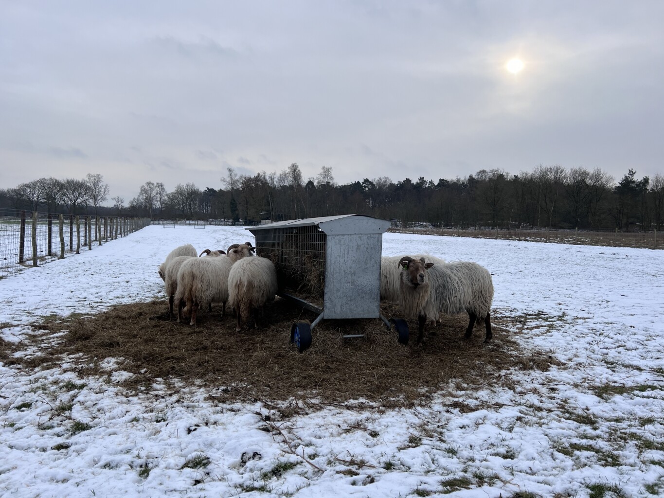Hondsrugpad/Hunenweg