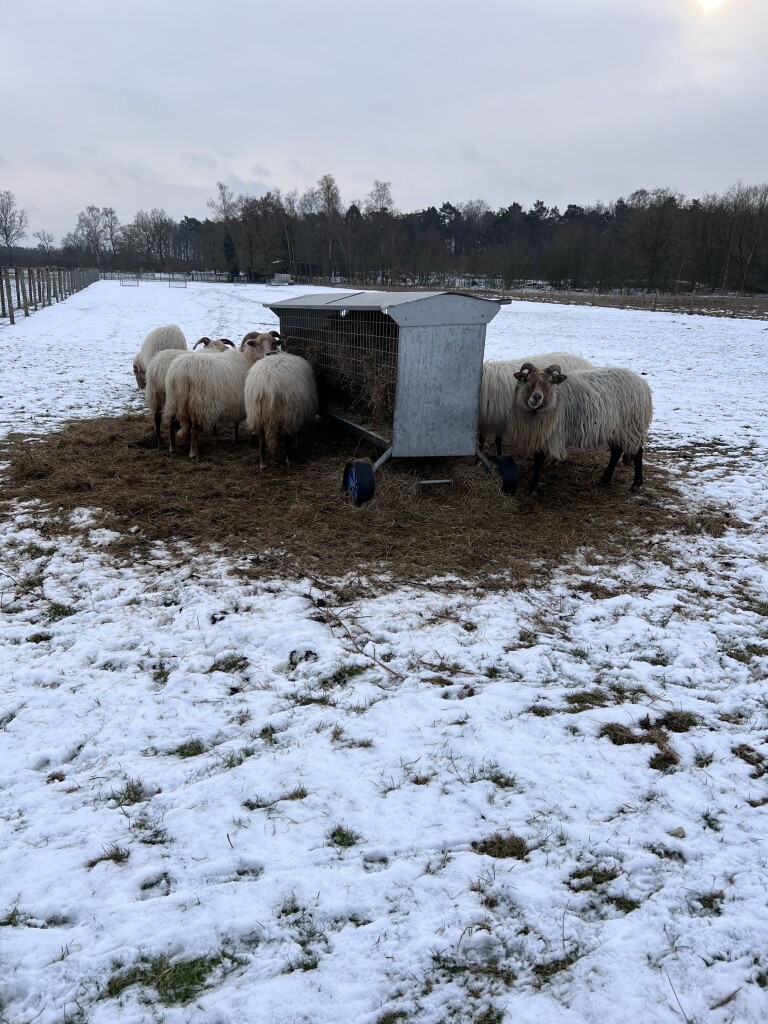 Hondsrugpad/Hunenweg