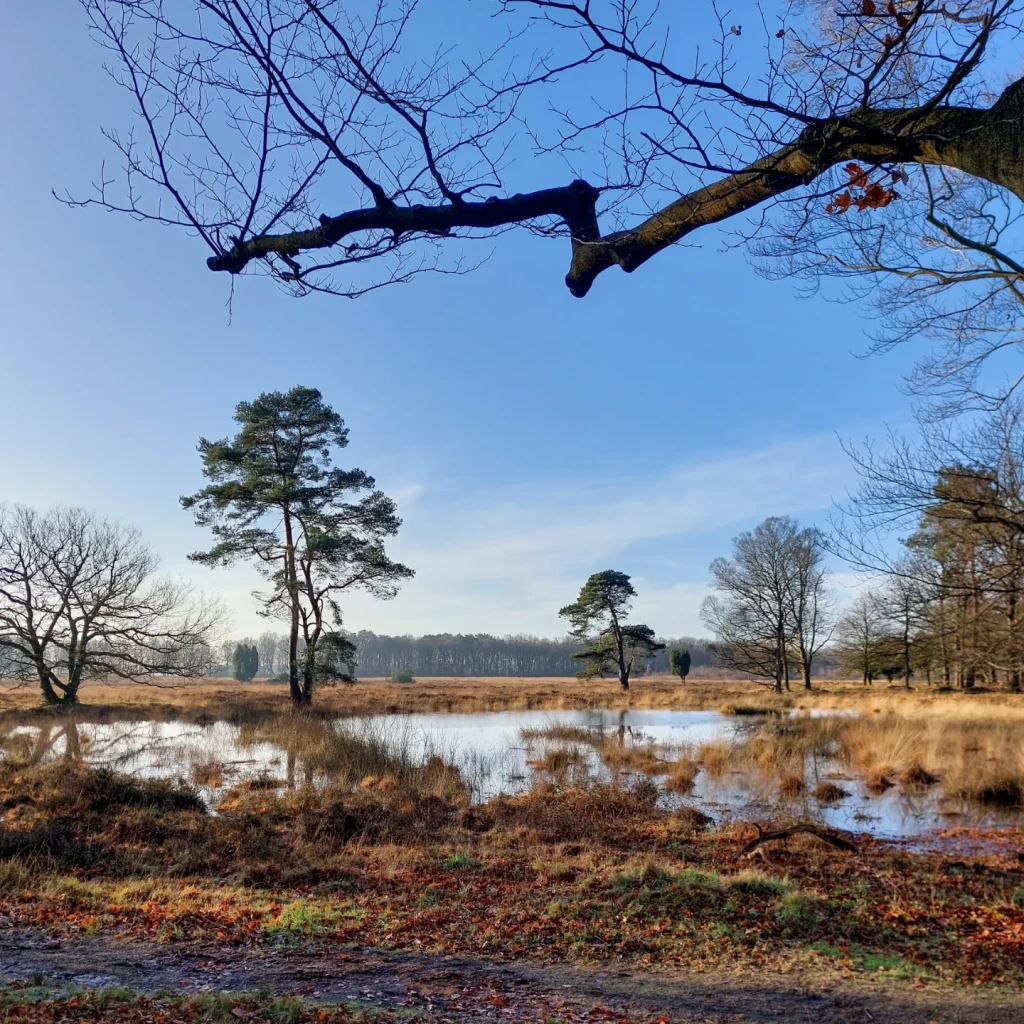 Odoornerdennen - Emmen · Drenthepad etappe 14