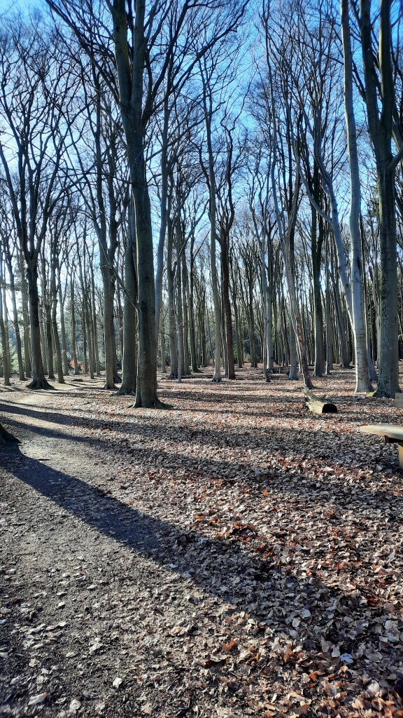 Eastermar - Houtigehage · Friese Woudenpad etappe 5