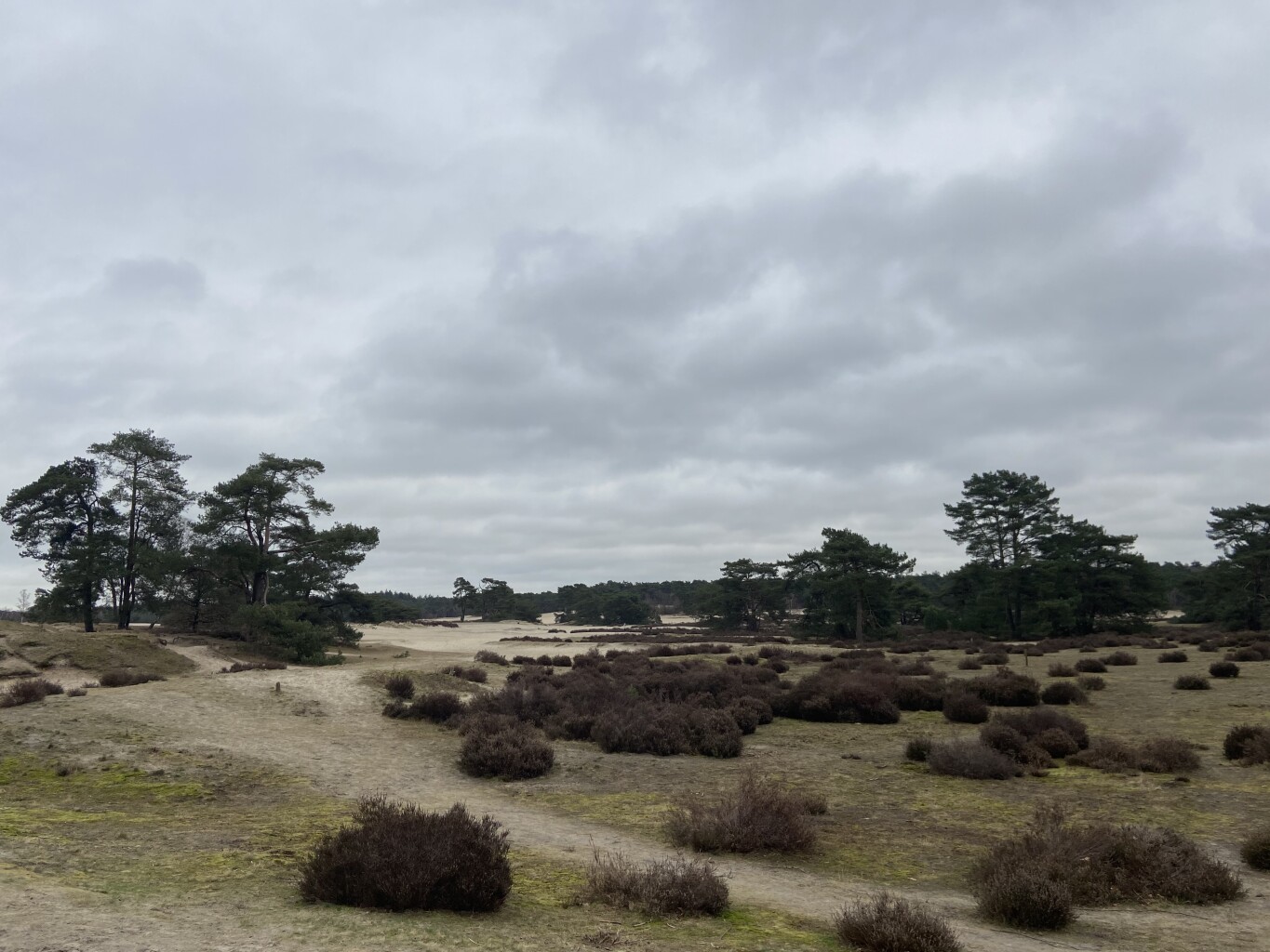 Utrecht - Amersfoort · Gelukkigerwijspad etappe 6