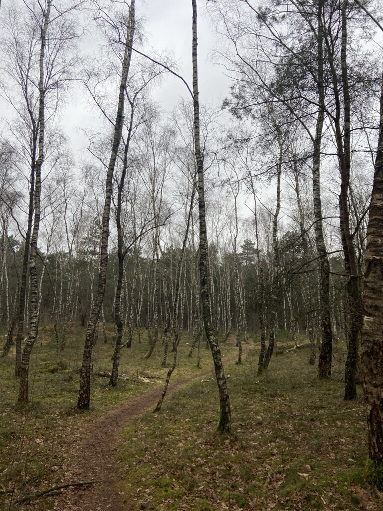 Utrecht - Amersfoort · Gelukkigerwijspad etappe 6