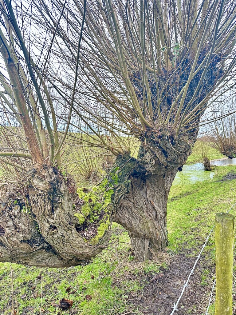 Sluis - Cadzand-Bad · Nederlands Kustpad 1 etappe 1