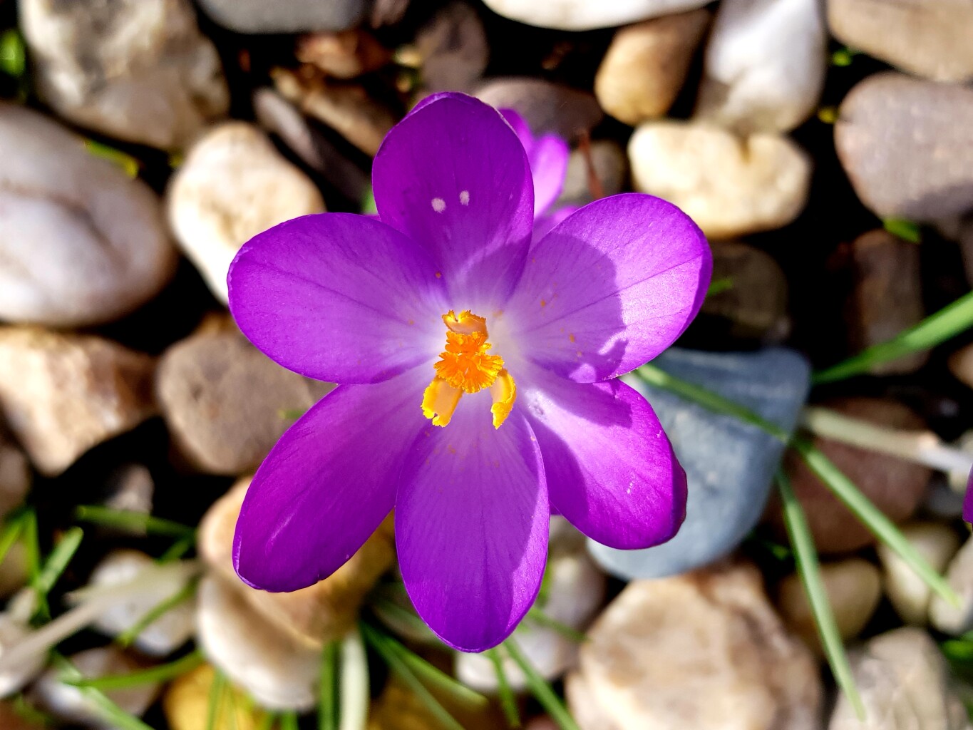 Wachtendonk - Leuth · Maas-Niederrheinpad etappe 11