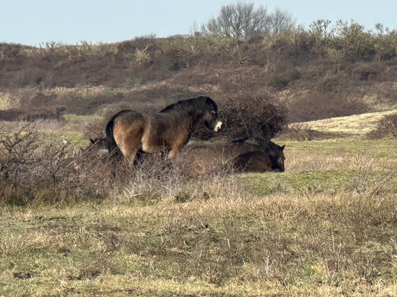 Goedereede - Rockanje · Nederlands Kustpad 1 etappe 8