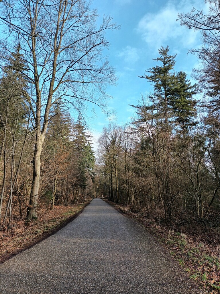 Zutphen, St. Walburgskerk - Laren · Graafschapspad etappe 1